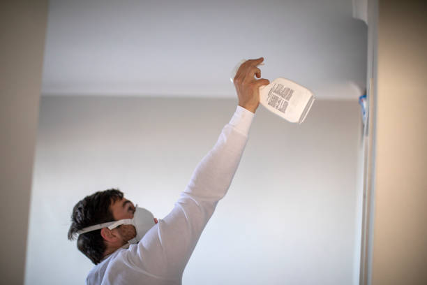 Best Professional Mold Removal  in Anderson, CA