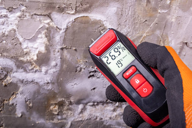 Reliable Anderson, CA Mold Removal Solutions