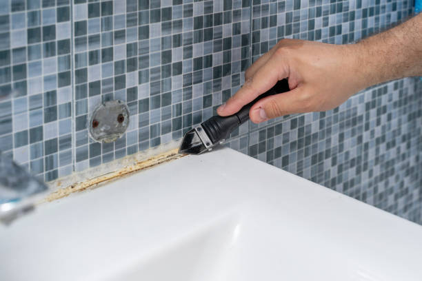 Best Attic Mold Removal  in Anderson, CA