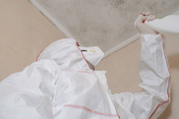 Best Home Mold Removal  in Anderson, CA
