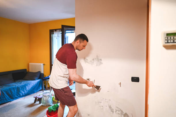 Best Fast Mold Removal  in Anderson, CA