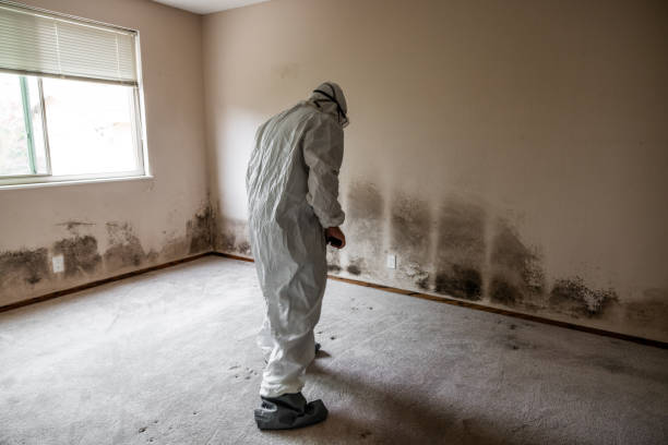Best Office Mold Removal Services  in Anderson, CA